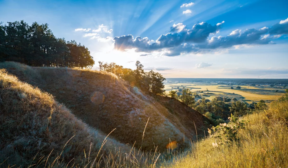 UWAGA! Nie Kupuj Nic Aby Oddać elektrośmiecie w Poznaniu Zanim Nie Przeczytasz Tego!