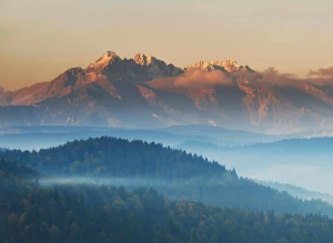 Tylko tutaj więcej informacji o tym jak zareklamować biznes
