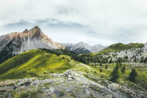 BDO na Słowacji: krok po kroku dla polskich firm eksportujących odpady i opakowania