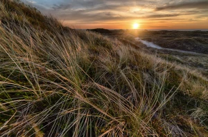 opublikować artykuł? Nie?